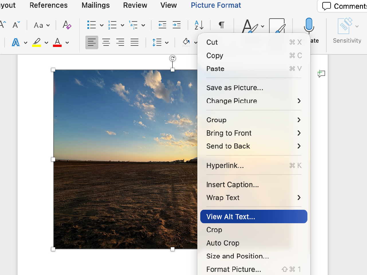 Right click context menu open on an image in Microsoft Word, with View Alt Text highlighted.