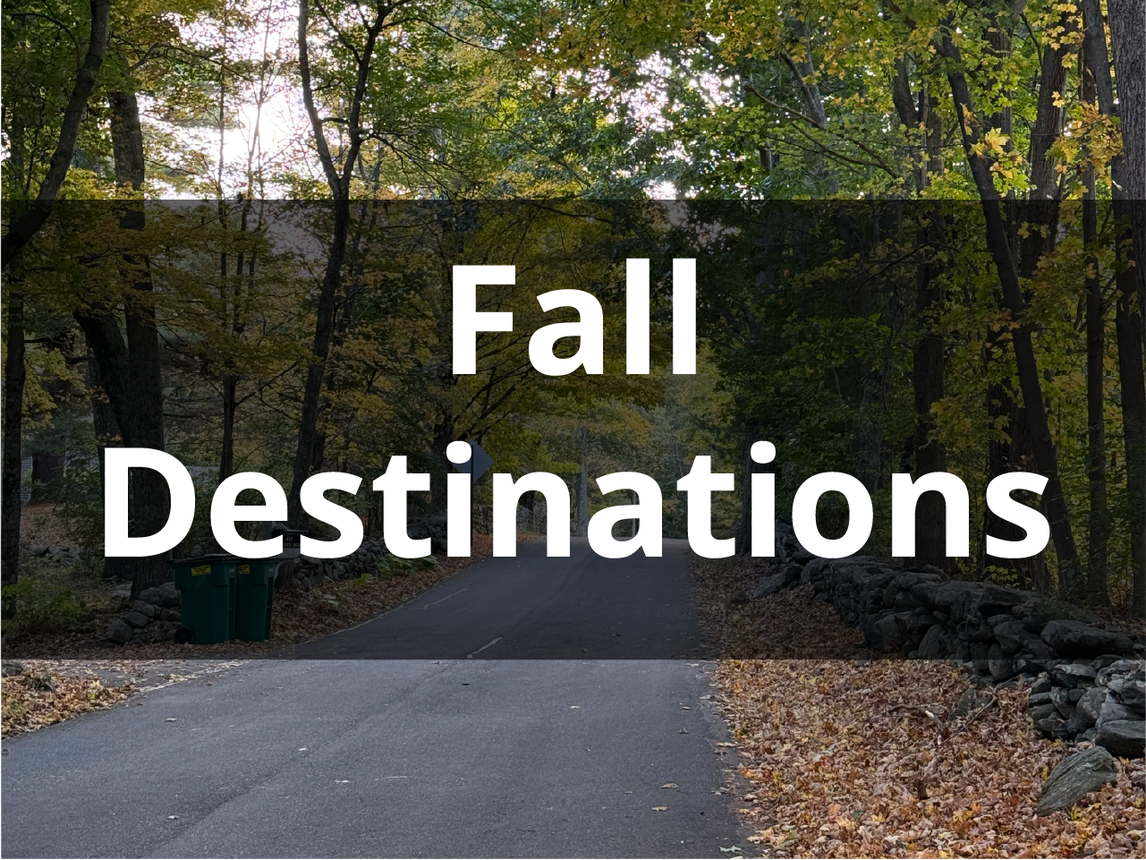 Text reading Fall Destinations over an image of a street lined with colored leaves. A dark transparent box is placed behind the text.