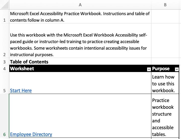 Cell A one contains text that states that instructions and a table of contents follow in column A.
