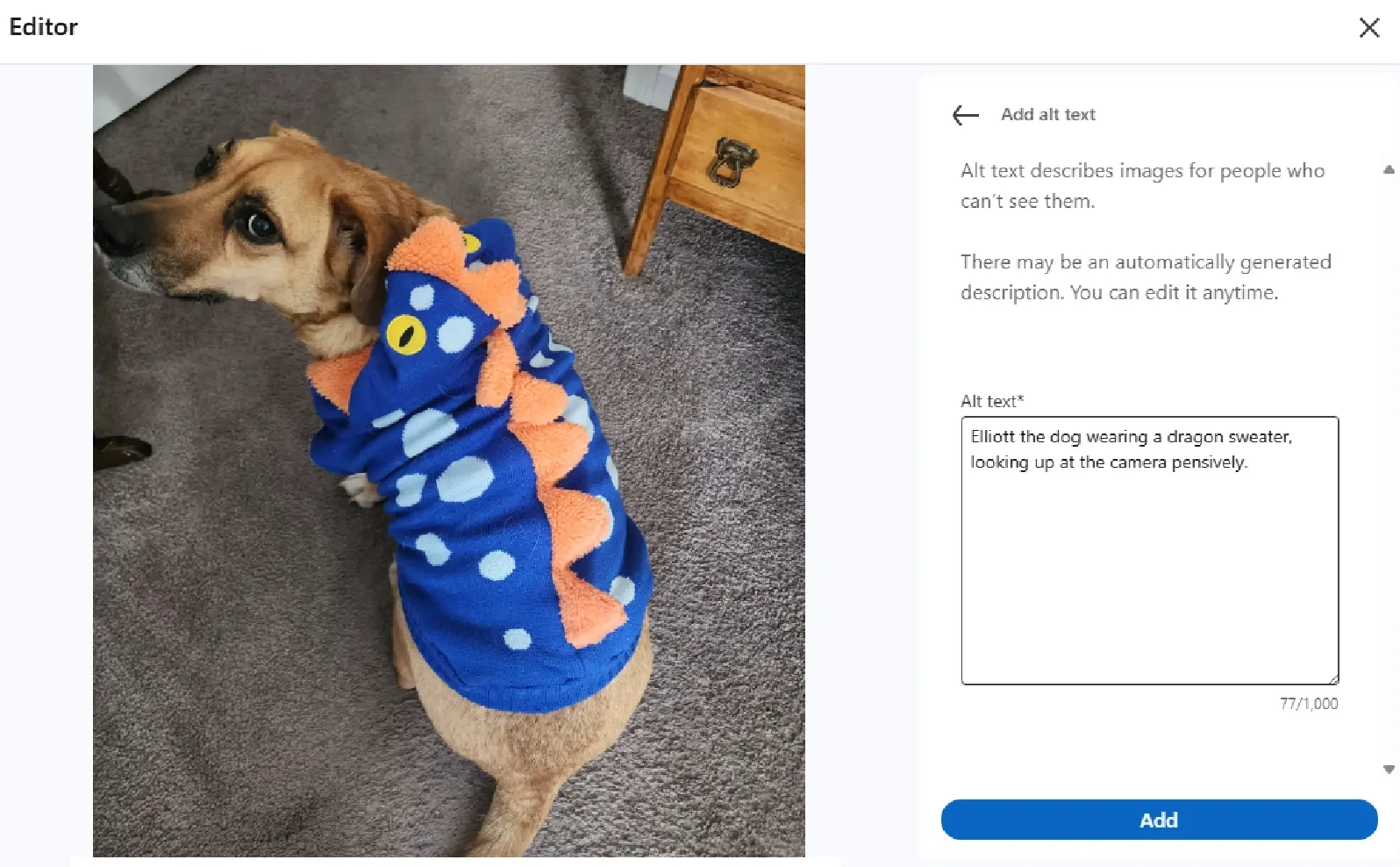 Screenshot of adding alt text to a LinkedIn post image. Elliott the dog wearing a dragon sweater.