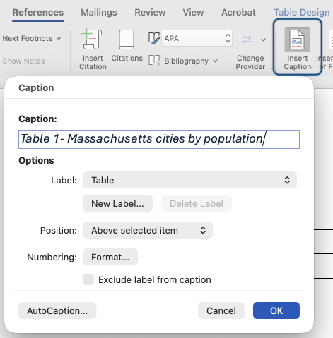 The References tab with the Insert Caption button selected, revealing the captions panel.